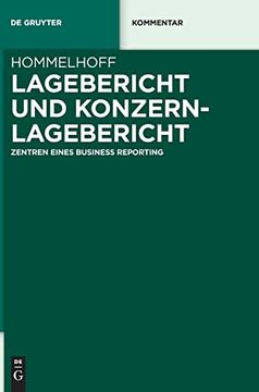 portada Lagebericht und Konzernlagebericht Zentren Eines Business Reporting 