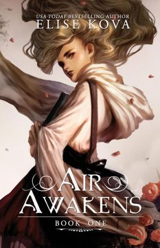 portada Air Awakens (Air Awakens Series Book 1) (Volume 1) (in English)