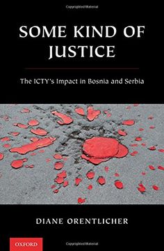 portada Some Kind of Justice: The Icty's Impact in Bosnia and Serbia (in English)