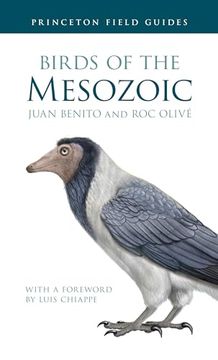 portada Birds of the Mesozoic (Princeton Field Guides) (en Inglés)