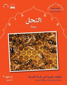 portada Small Wonders: Bees (en Inglés)