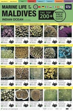 portada Maldives Marine Life Field Guide: "Top 200+" (en Inglés)