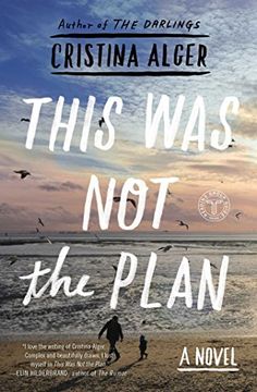 portada This Was Not the Plan: A Novel