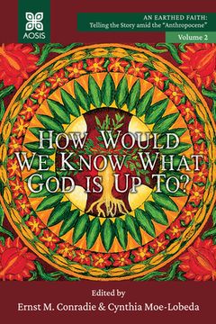 portada How Would we Know what God is up to? (en Inglés)