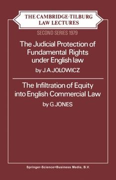 portada judicial protection of fundamental rights under english law: the infiltration of equity into english commercial law (en Inglés)