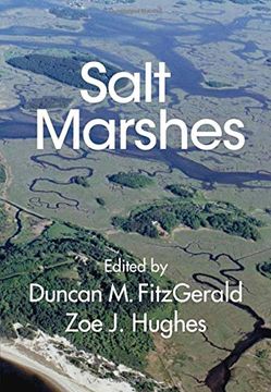 portada Salt Marshes: Function, Dynamics, and Stresses (en Inglés)