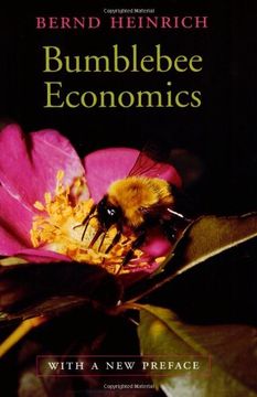 portada Bumblebee Economics: With a new Preface, Revised Edition (in English)
