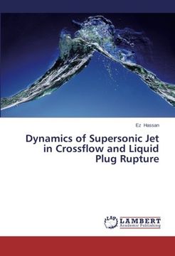 portada Dynamics of Supersonic Jet in Crossflow and Liquid Plug Rupture
