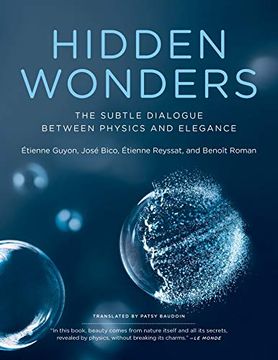 portada Hidden Wonders: The Subtle Dialogue Between Physics and Elegance 