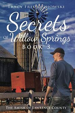 portada Secrets of Willow Springs - Book 3: The Amish of Lawrence County (in English)