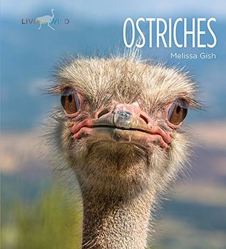 portada Ostriches (en Inglés)
