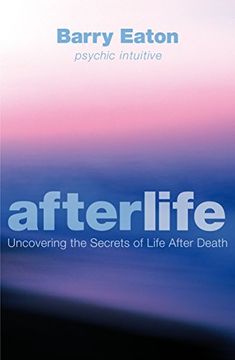 portada Afterlife: Uncovering the Secrets of Life After Death (en Inglés)