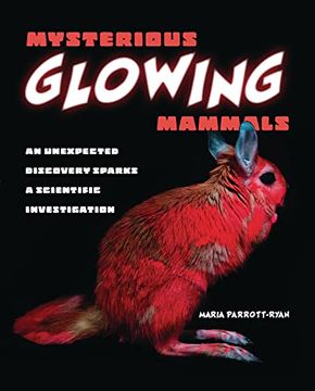 portada Mysterious Glowing Mammals Format: Library Bound (en Inglés)