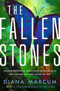 portada The Fallen Stones: Chasing Butterflies, Discovering Mayan Secrets, and Looking for Hope Along the Way (en Inglés)