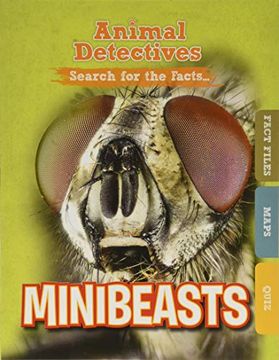 portada Minibeasts (Animal Detectives) 