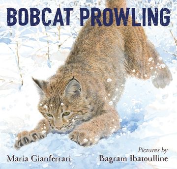 portada Bobcat Prowling (in English)