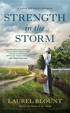 portada Strength in the Storm: 2 (a Johns Mill Amish Romance) (in English)