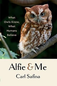 portada Alfie and me: What Owls Know, What Humans Believe (en Inglés)