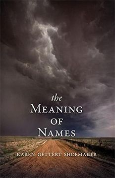 portada The Meaning of Names (en Inglés)