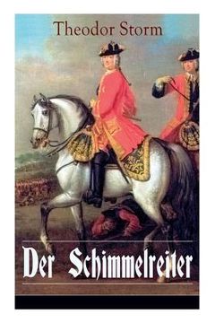 portada Der Schimmelreiter: Storms Meisternovelle: Ein literarischer Kampf zwischen Aberglaube und Vernunft (en Alemán)