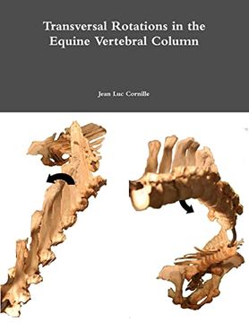portada Transversal Rotations in the Equine Vertebral Column (en Inglés)