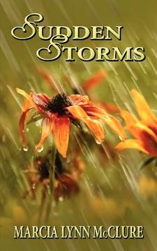 portada sudden storms (en Inglés)