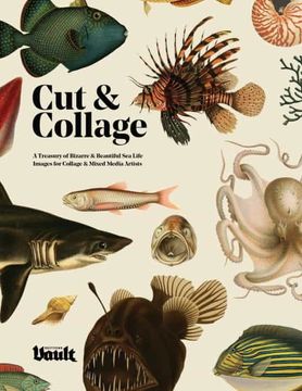 portada Cut & Collage: A Treasury of Bizarre and Beautiful sea Life Images for Collage and Mixed Media Artists (en Inglés)