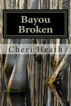 portada Bayou Broken (en Inglés)