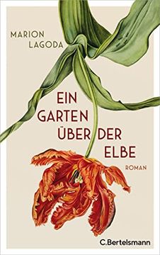 portada Ein Garten Über der Elbe: Roman (en Alemán)