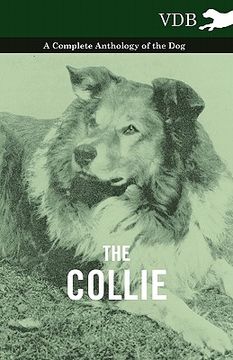 portada the collie - a complete anthology of the dog - (in English)