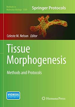 portada Tissue Morphogenesis: Methods and Protocols (en Inglés)