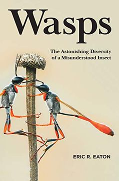 portada Wasps: The Astonishing Diversity of a Misunderstood Insect (en Inglés)