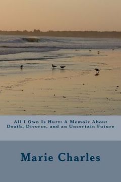 portada All I Own Is Hurt: A Memoir About Death, Divorce, and an Uncertain Future (en Inglés)