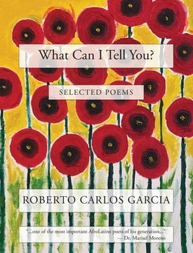 portada What can i Tell You? 