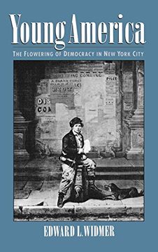portada Young America: The Flowering of Democracy in new York City (in English)