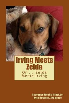 portada Irving Meets Zelda: Or . . . Zelda Meets Irving