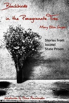 portada Blackbirds in the Pomegranate Tree: Stories from Ixcotel State Prison (in English)