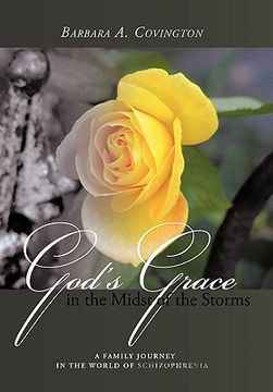 portada god`s grace in the midst of the storms
