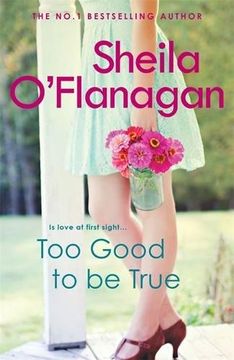 portada Too Good To Be True: A feel-good read of romance and adventure
