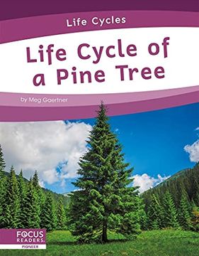 portada Life Cycles: Life Cycle of a Pine Tree (en Inglés)