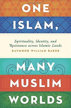 portada One Islam, Many Muslim Worlds: Spirituality, Identity, and Resistance Across Islamic Lands (Religion and Global Politics) (en Inglés)
