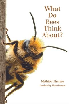 portada What Do Bees Think About? (in English)