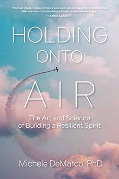 portada Holding Onto Air: The art and Science of Building a Resilient Spirit (in English)