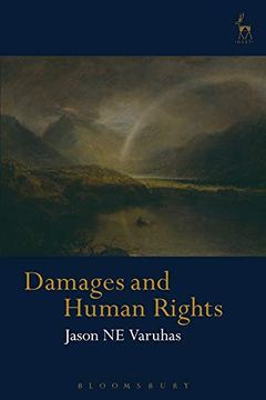 portada Damages and Human Rights (en Inglés)