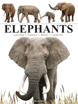 portada Elephants (Mini Encyclopedia) (en Inglés)