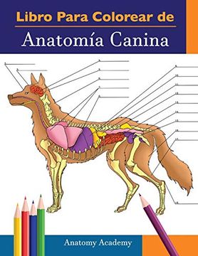 portada Libro Para Colorear de Anatomía Canina: Libro de Colores de Autoevaluación muy Detallado de Anatomía Canina | el Regalo Perfecto Para Estudiantes de.   De los Perros y Adultos