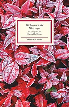 portada Die Blumen in den Wintertagen: Bilder und Texte (Insel Bücherei) (in German)