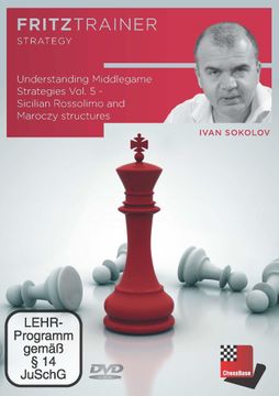 portada Understanding Middlegame Strategies Vol. 5, Dvd-Rom (en Inglés)