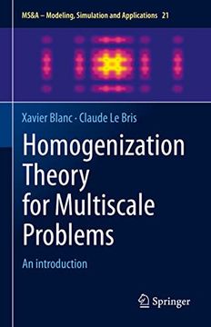 portada Homogenization Theory for Multiscale Problems: An Introduction (en Inglés)