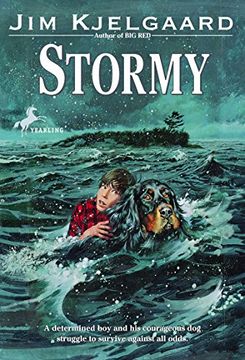 portada Stormy (en Inglés)